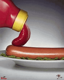 hotdog lick ketchup