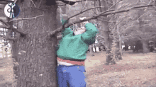 Tree Hug GIF - Tree Hug Climbing GIFs