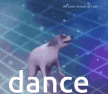 Dance Dog GIF - Dance Dog Cute GIFs