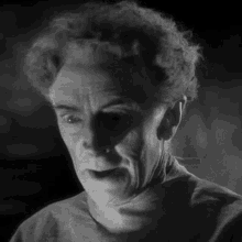 huh doctor pretorius bride of frankenstein what was that what did you say