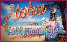 Aloha Caddywampus GIF - Aloha Caddywampus Renfest GIFs