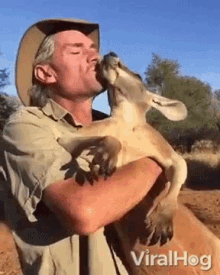 Kisses Kangaroo GIF - Kisses Kangaroo Outback GIFs