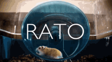 Dark Rato GIF - Dark Rato Kizzuy GIFs