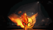 Phoenix United Fire GIF - Phoenix United Fire Bird GIFs