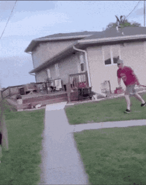 horse-kicked.gif
