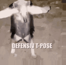 T Pose T Pose Meme GIF - T Pose T Pose Meme Defensiv GIFs