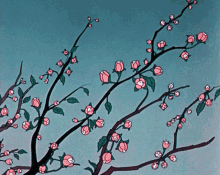 blossoms blooming