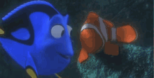 dory