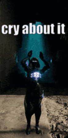 Cryaboutit Destiny2 GIF - Cryaboutit Destiny2 Cat Dance GIFs