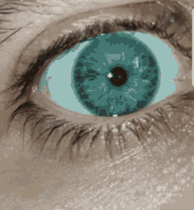 Eye Blue GIF - Eye Blue Blink GIFs