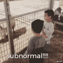 subnormal headbang kid goat ouch