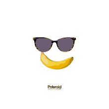 banana polaroid polaroid eyewear sunglasses eyewear