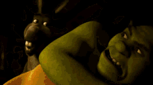 Shrek Shrekisbootiful GIF - Shrek Shrekisbootiful Whatareyoudoinginmyswamp GIFs