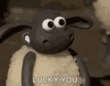 Sheep Timmy Time GIF - Sheep Timmy Time Thumbs Up GIFs