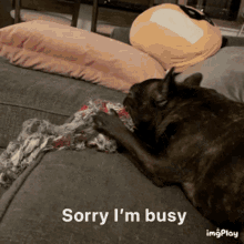 busy sorry