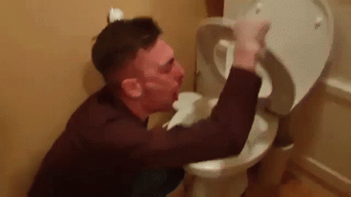 Wheres My Challenge Paul Vomiting Into The Toilet GIF - Wher