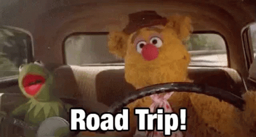 Hermit The Frog Road Trip GIF - Hermit The Frog Road Trip Happy GIFs