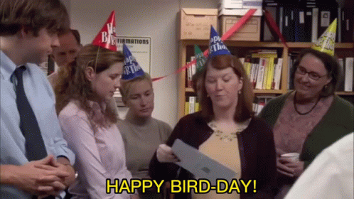 Happy Bird Day The Office Happy Bird Day The Office Gifs | Tenor Happy Bird Day The Office Happy Bird Day The Office Gifs | Tenor