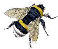 Bee Animation Sticker - Bee Animation Cute Stickers