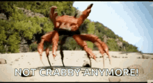 Crab Rave Dancing GIF - Crab Rave Dancing Dancing Crab GIFs