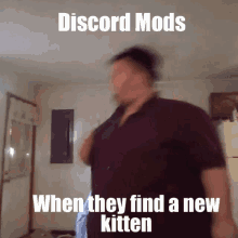 discord moderator kitten