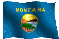 Montana Flag Sticker - Montana Flag Windy Stickers