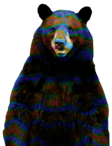 ay%C4%B1 medved bear %D0%BD%D0%B5%D1%81%D1%82%D0%B8 tall