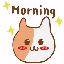 animal kitty cat cute good morning animal kitty cat cute good morning