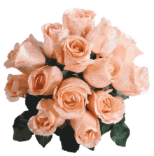 Orage Rose Roses GIF - Orage Rose Roses Bouquet GIFs