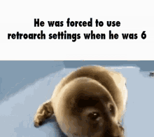 Retroarch Settings GIF - Retroarch Settings Seal GIFs