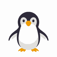 playful penguin
