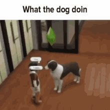 what the dog doin what the dog doin