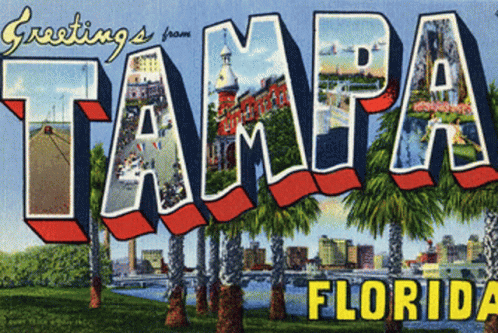 Tampa GIF - Tampa GIFs
