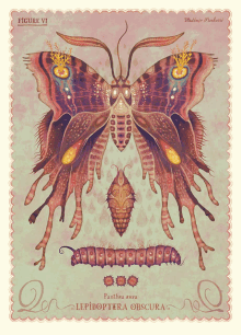 Butterfly Watercolor GIF - Butterfly Watercolor Caterpillar GIFs