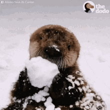 Cool Laugh GIF - Cool Laugh Just GIFs