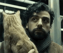 Oscar Isaac Cat GIF - Oscar Isaac Cat Worried GIFs