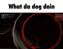 What Da Dog Doin Dog GIF - What Da Dog Doin Dog Meme GIFs