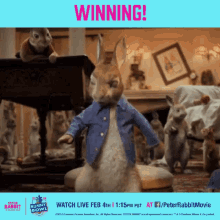 winning win bunny bowl peter rabbit peter rabbit gifs