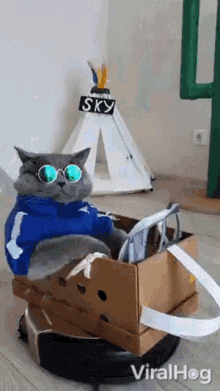 Swag Viralhog GIF - Swag Viralhog Cat GIFs