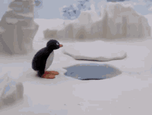 Pingu Noot GIF - Pingu Noot GIFs