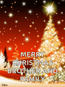 Merry Christmas GIF - Merry Christmas Brother GIFs