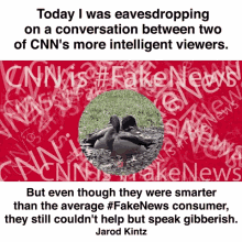 duck cnn is fake news eaves drop