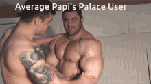 Average Papis Palace User GIF - Average Papis Palace User User Papi GIFs