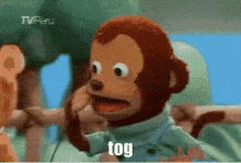 Tog GIF - Tog - Discover & Share GIFs