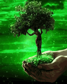Plant Tree GIF - Plant Tree GIFs