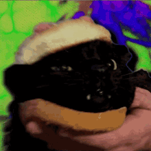 1996toyota Camry Cye GIF - 1996toyota Camry Cye Sammich Cat GIFs