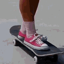dani bb skater dani bb skater