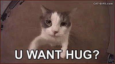 You Want A Hug? GIF - Hug Your Cat Day Hug Cat GIFs