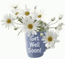 get well soon daisy get well feel better