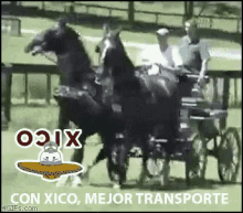 horse kick wasted xico carreta